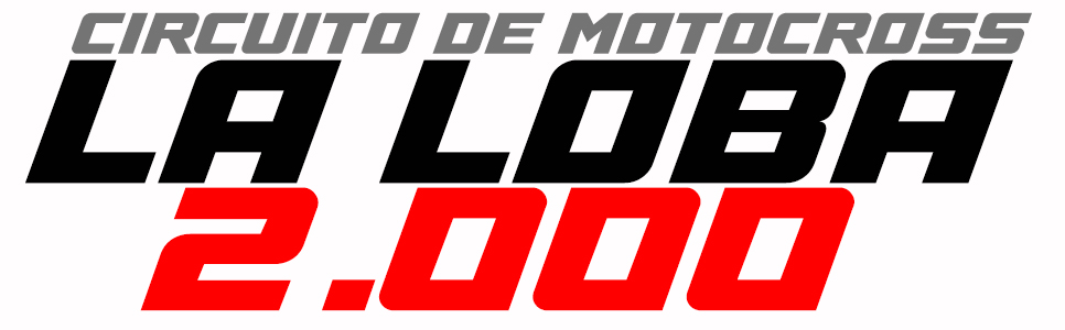 Logotipo de Mx la loba 2000