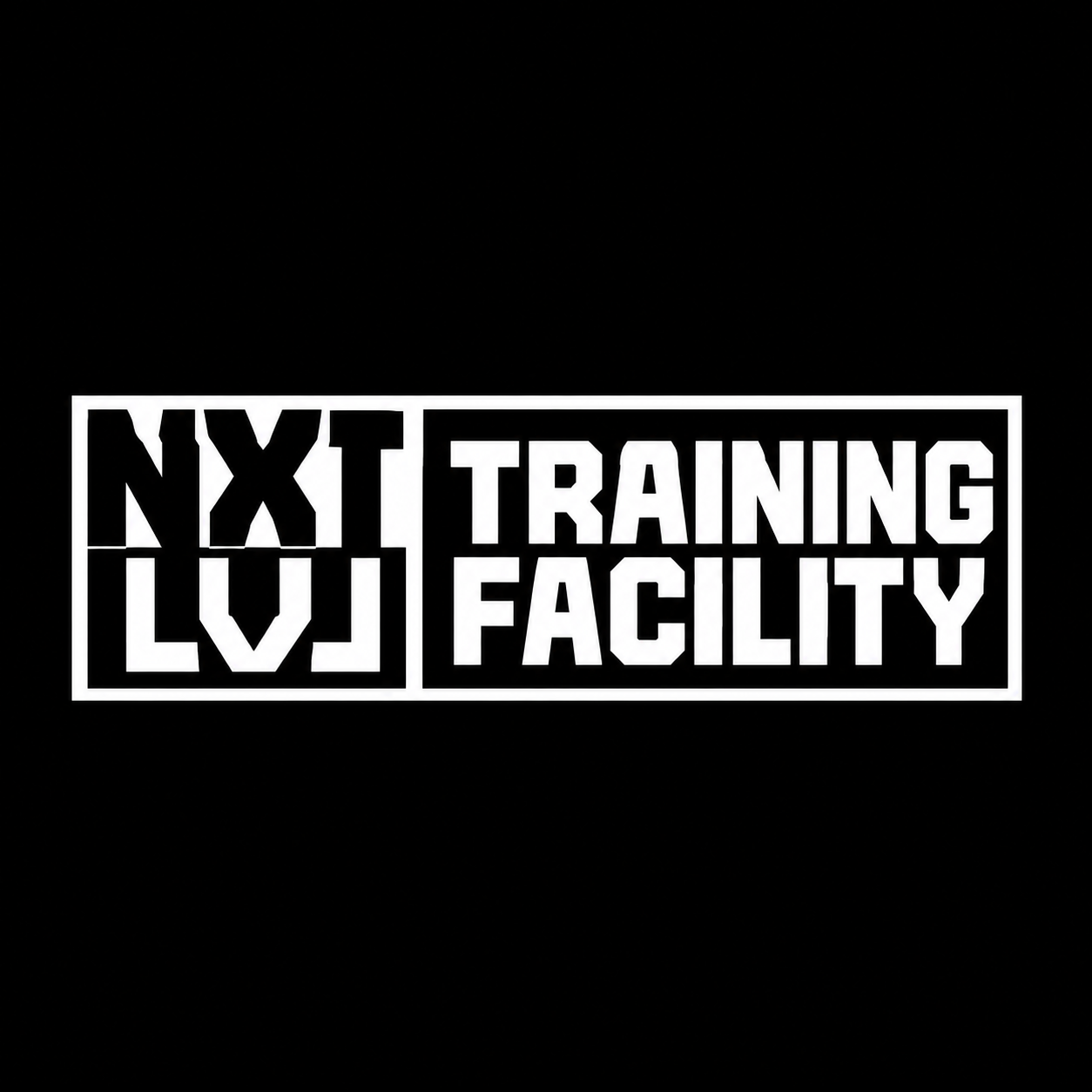 Logotipo de NXT LVL 101