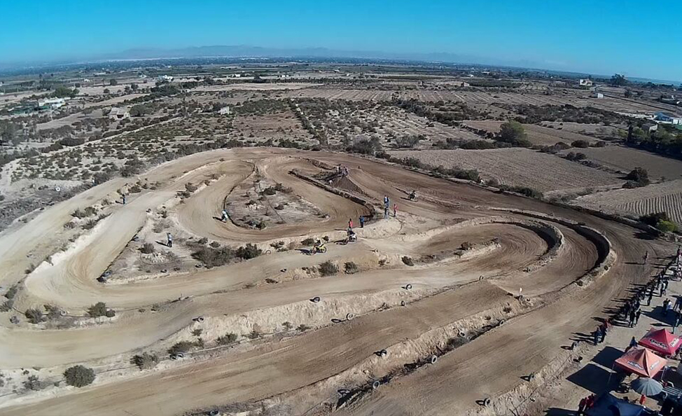 El Molar Mx Elche