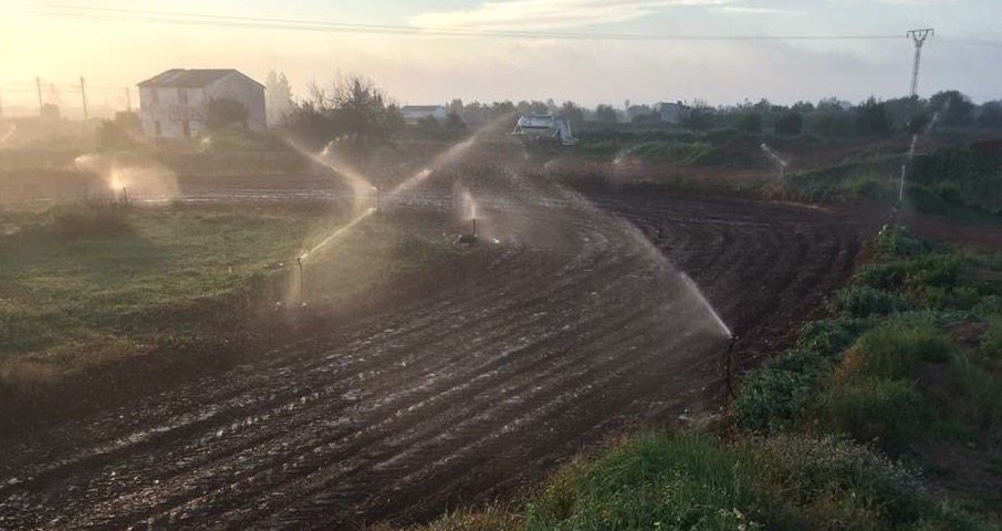 Circuito MX 100emocions