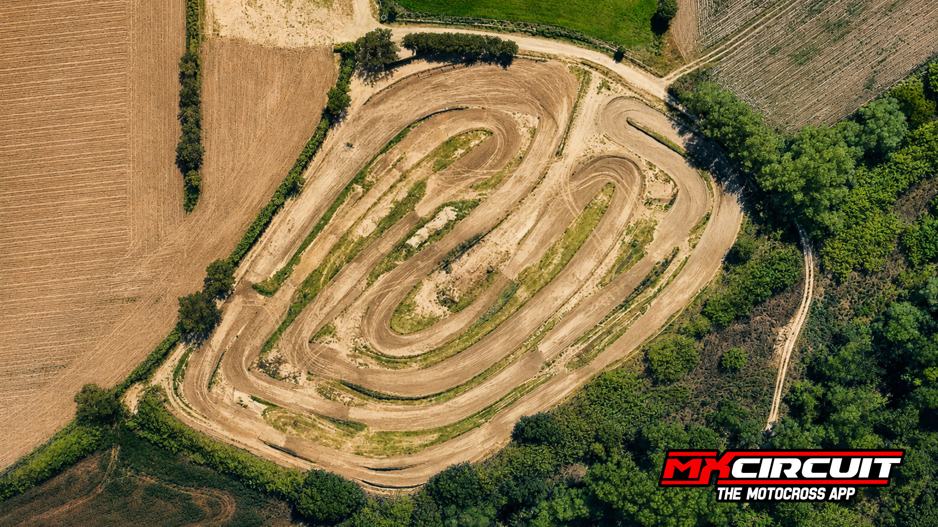 Mx Jorge Prado