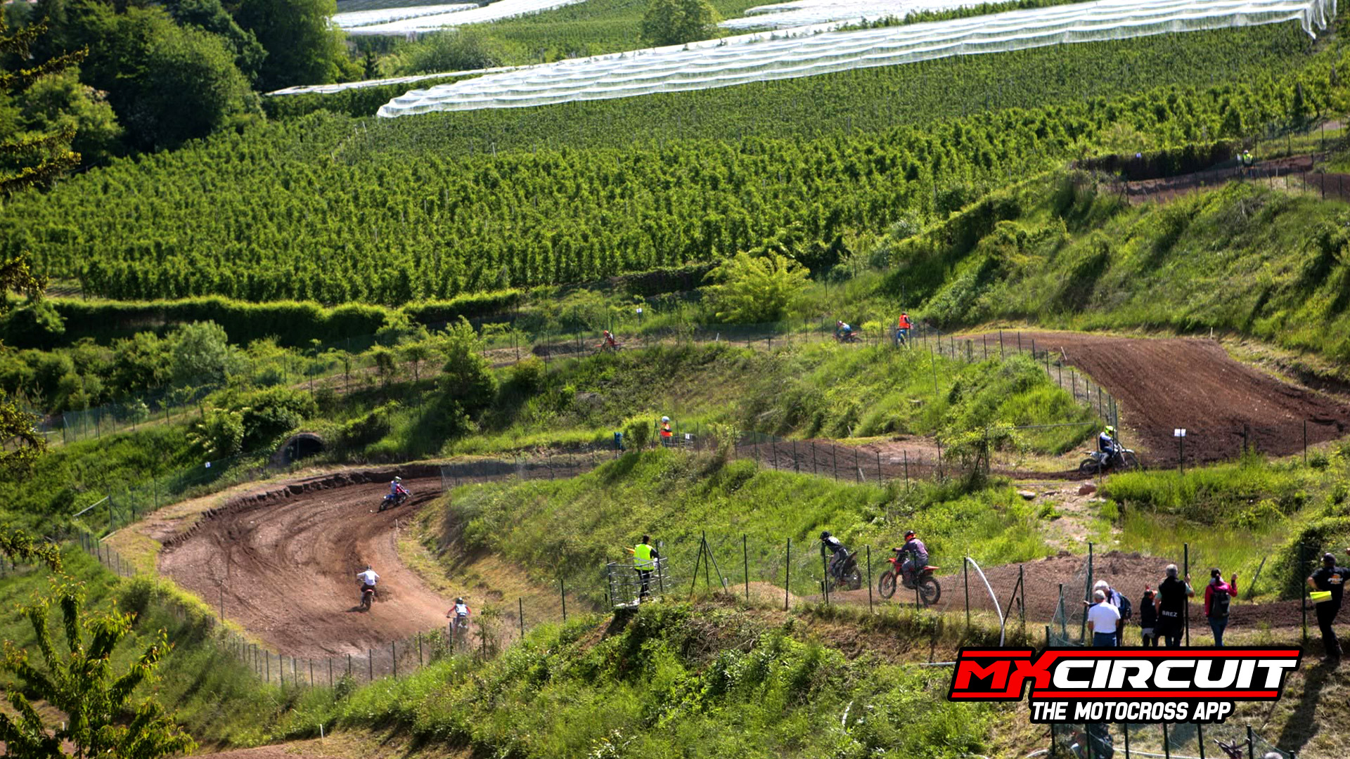 Imagen 2 de MXCOREDO