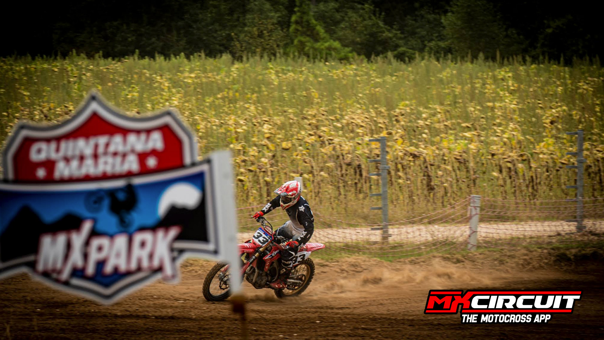 Imagen 2 de Quintana Maria MX Park