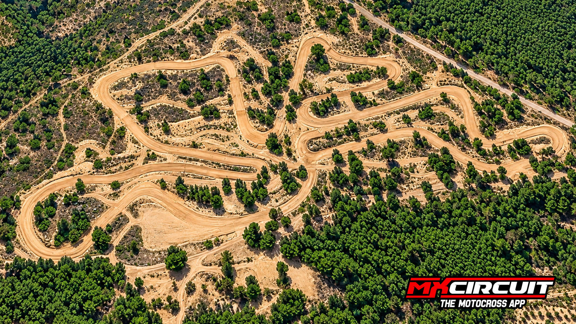 MX ALCORA
